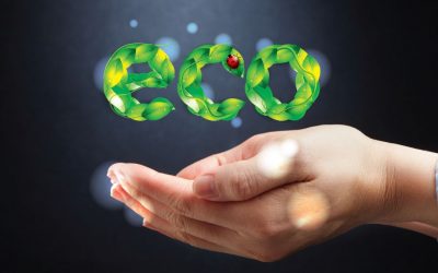 Les Éco-gestes : Petites Actions pour un Grand Impact