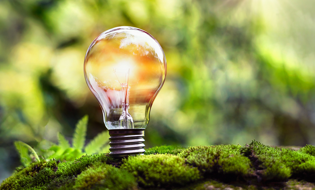 Matériaux biosourcés et écoconception : l’avenir de la rénovation durable ?