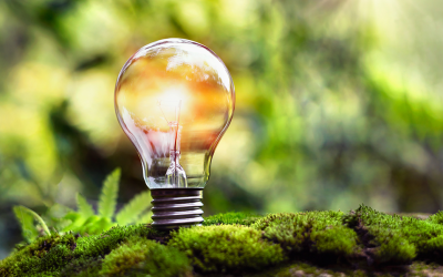 Matériaux biosourcés et écoconception : l’avenir de la rénovation durable ?