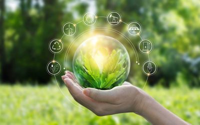 Comment la rénovation énergétique contribue à la transition écologique ?