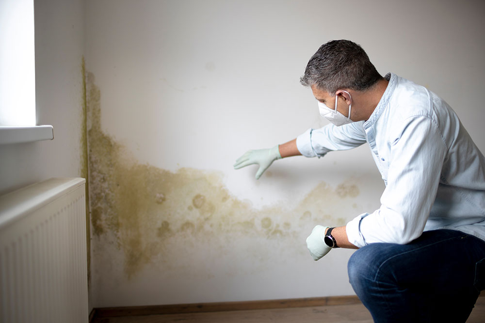 Moisissures, acariens, humidité : les impacts cachés d’une mauvaise isolation