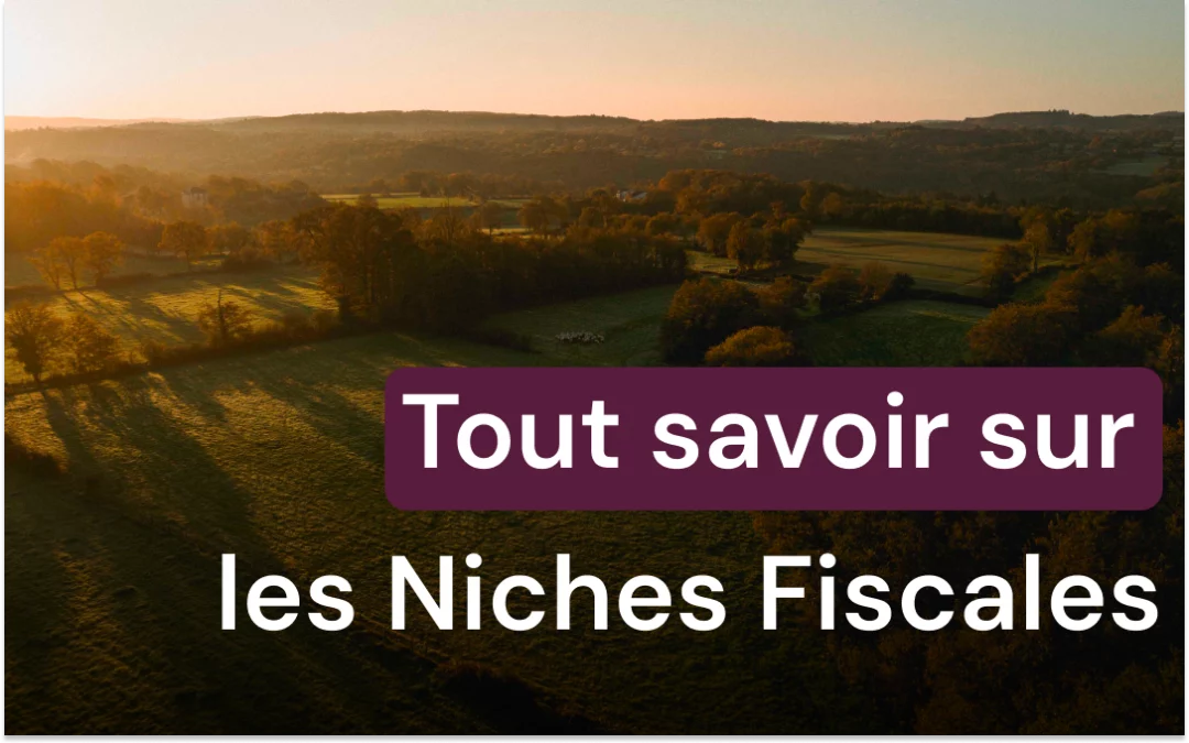 Rénovation énergétique : une niche fiscale sous-exploitée par les entreprises ?